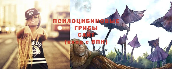 ECSTASY Коряжма