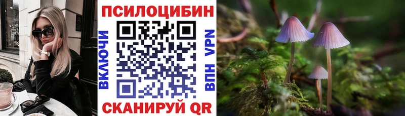 где купить наркотик  Хилок  даркнет клад  Галлюциногенные грибы GOLDEN TEACHER 